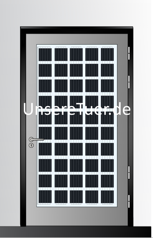 Photovoltaik Zimmertür "Standard" 250 Watt Edelholz stromerzeugend Plug & Play System